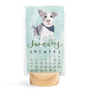 2025 Stump Calendar - Furry Friends Dogs